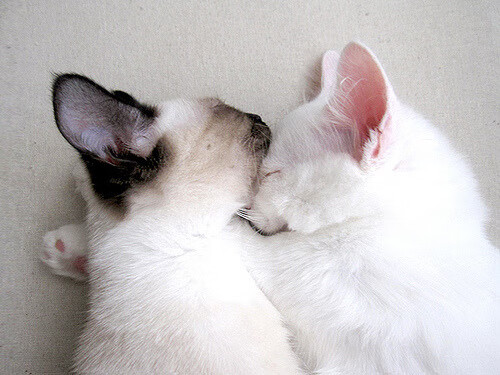 TI历史上的经典翻盘:是从哪一刻开始逆转的?